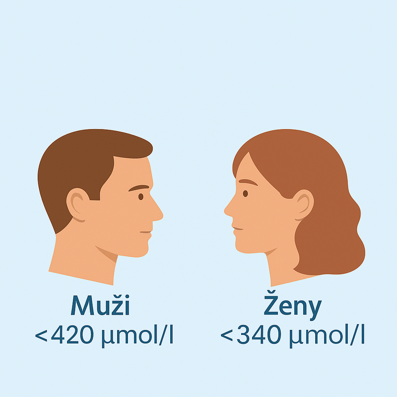 muži vs ženy - hladina kyseliny močovej